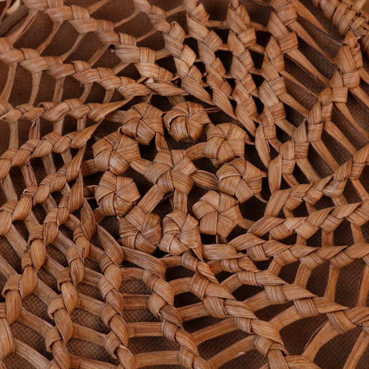 Growth Rings | Wild Grape Vine Basket Bag